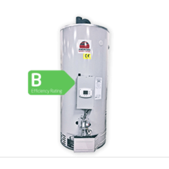 Andrews CLASSICflo Fan Flued RFF18/270 Water Heater Natural Gas - 7697152